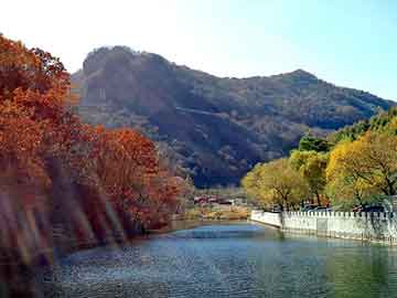 新澳天天开奖资料大全旅游团，红楼惊梦